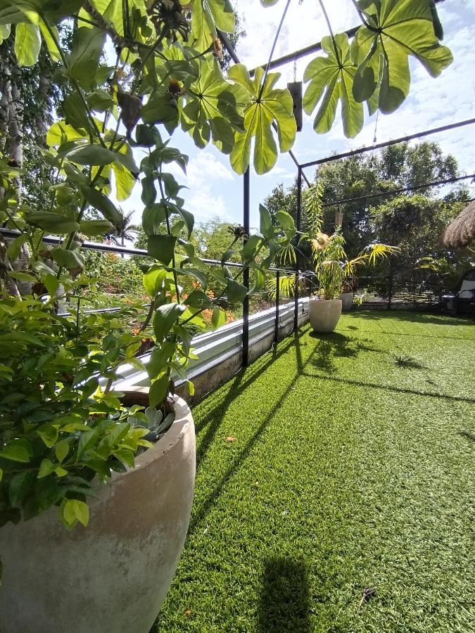 Hostel Casa Xtakay Βαγιαδολίδ Εξωτερικό φωτογραφία