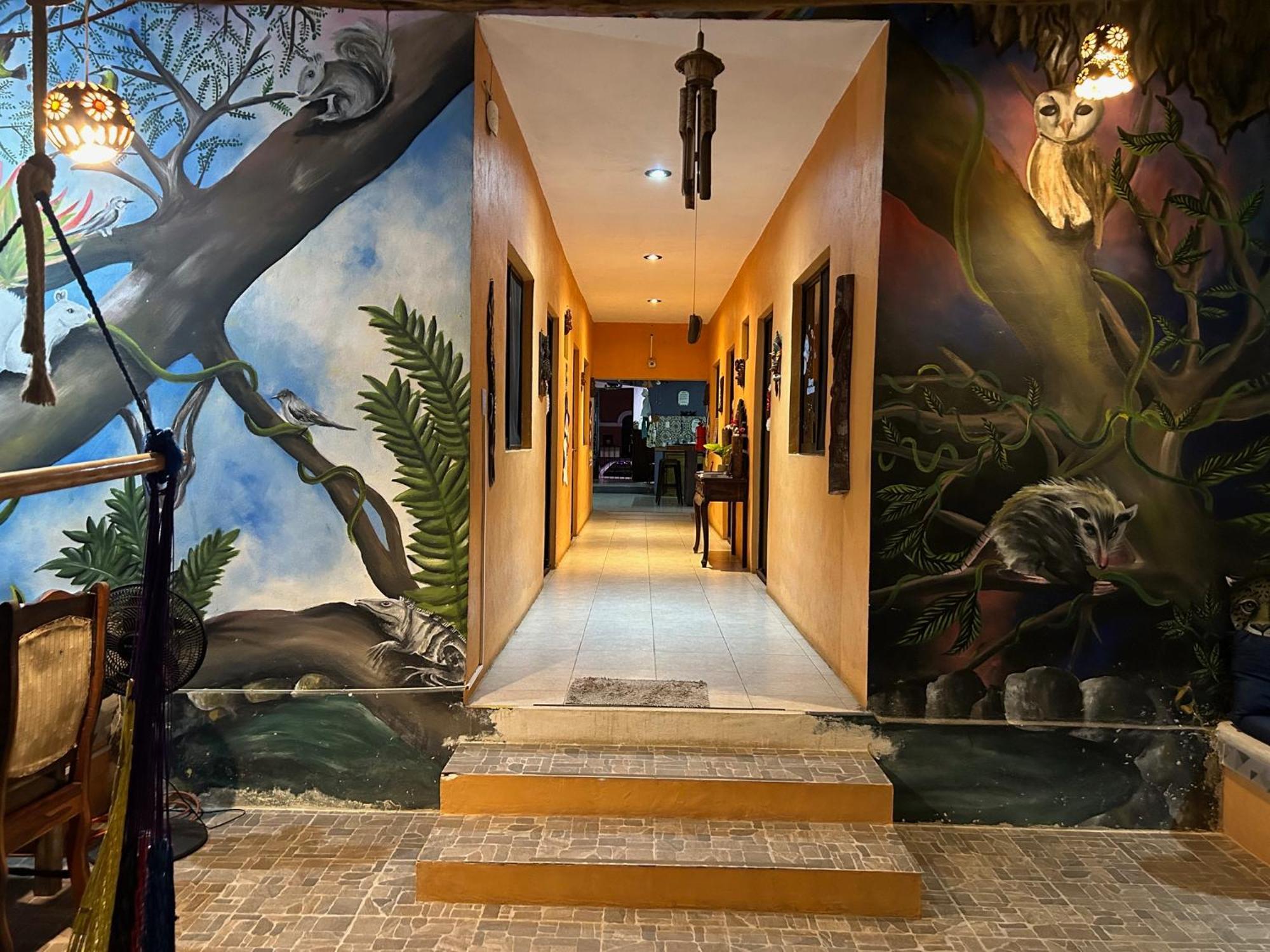 Hostel Casa Xtakay Βαγιαδολίδ Εξωτερικό φωτογραφία