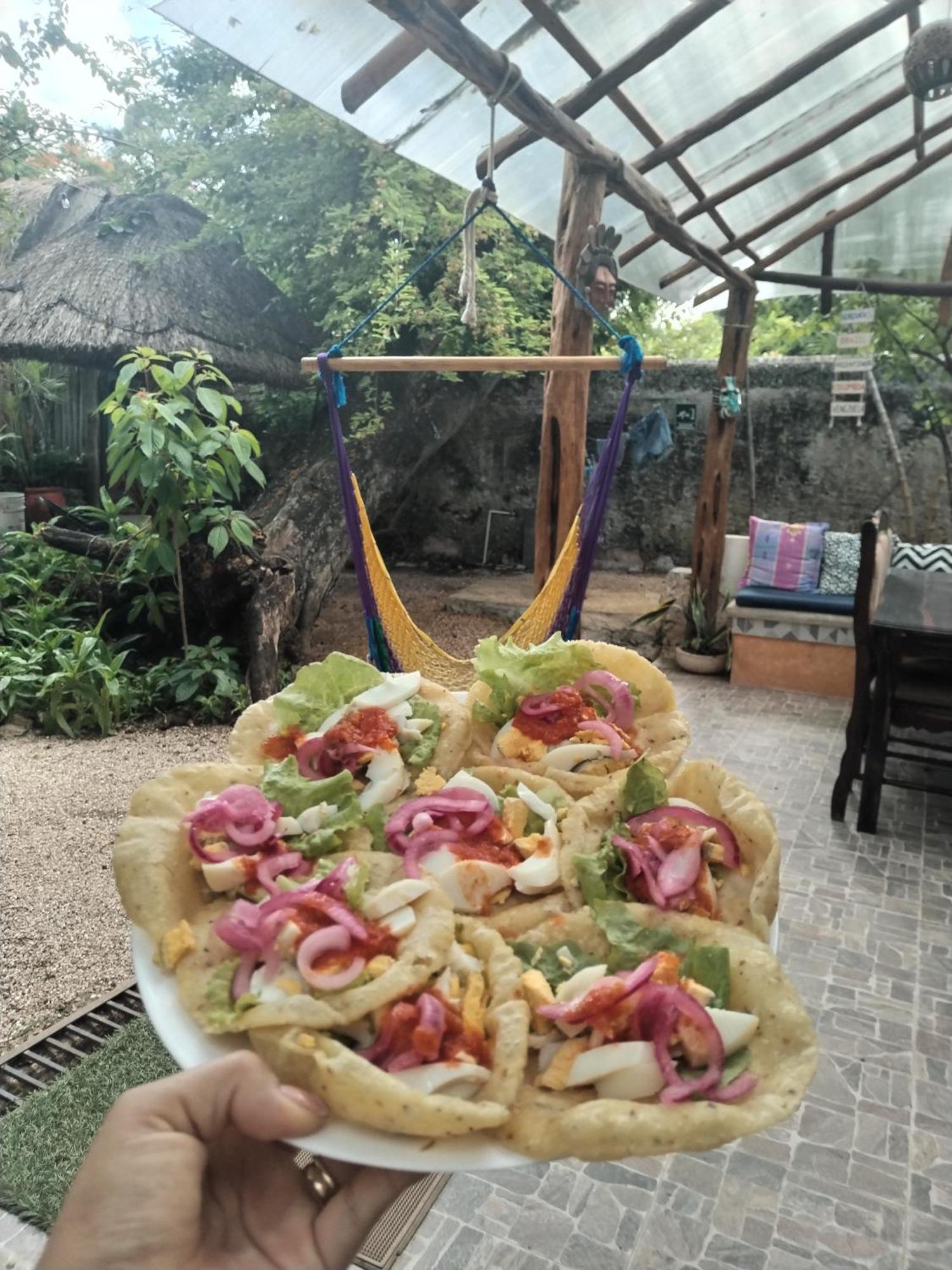 Hostel Casa Xtakay Βαγιαδολίδ Εξωτερικό φωτογραφία